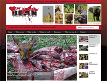 Tablet Screenshot of bushmeatnetwork.org